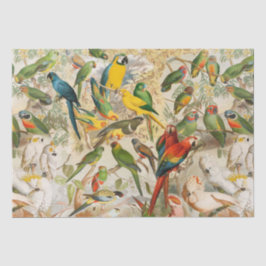 Eleganter Vintager tropischer Vogelparrots Regenwa Seidenpapier