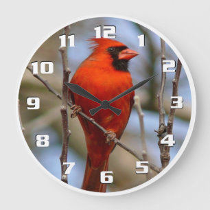 Eleganter Weihnachtsvogel Roter Kardinal Schön Große Wanduhr