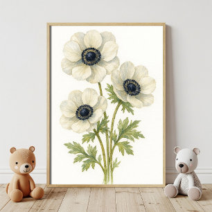 Eleganter weißer Anemone Botanische Wasserfarbe Poster