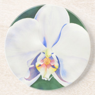 Eleganter weißer Aquarellorchid Untersetzer