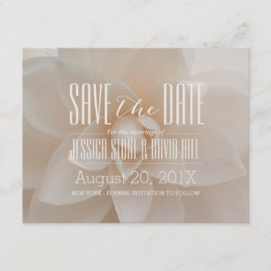 Eleganter weißer Blumenhochzeits-Schimmer Save the Save The Date