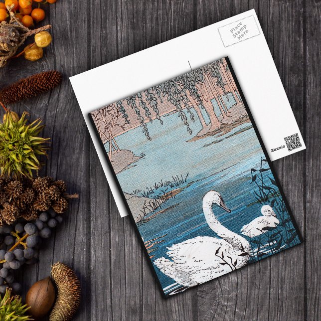 Eleganter weißer Schwan mit Baby Postkarte (Beautiful white swan with baby swimming in blue lake black borders on postcard.)