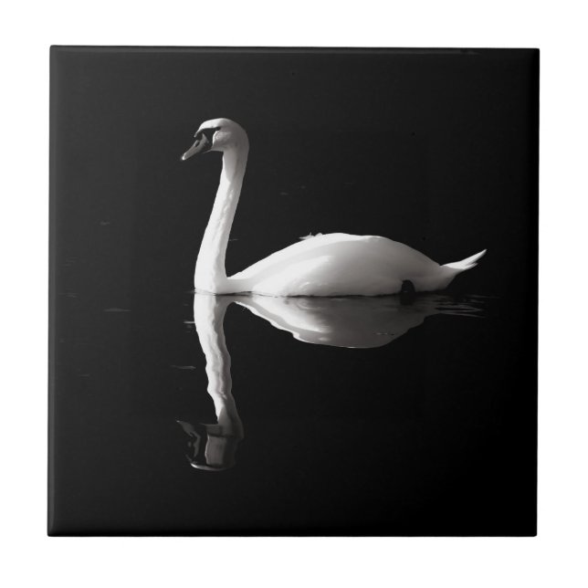 Eleganter weißer Schwan Reflektion am Schwarzen Se Fliese (Vorderseite)