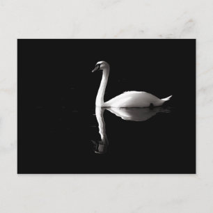 Eleganter weißer Schwan Reflektion am Schwarzen Se Postkarte
