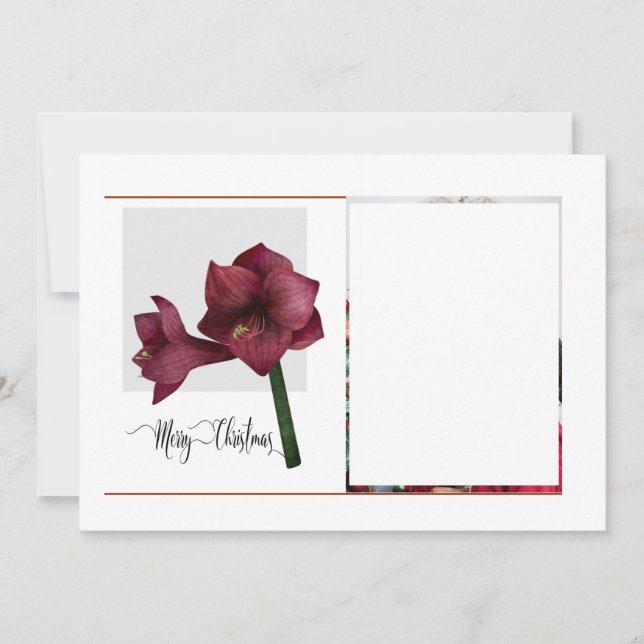 Elegantes 1 Foto mit Amaryllis Blume, Weihnachten (Vorderseite)