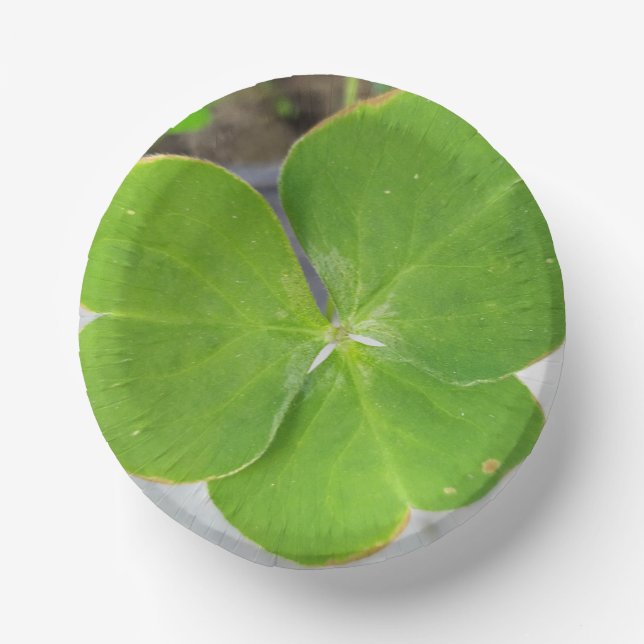 Elegantes 3-Wege-Design, 7 Zoll Pappteller (Vorderseite)