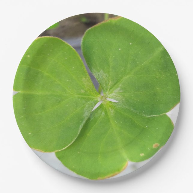 Elegantes 3-Wege-Design, 9-Zoll-Runde Pappteller (Vorderseite)