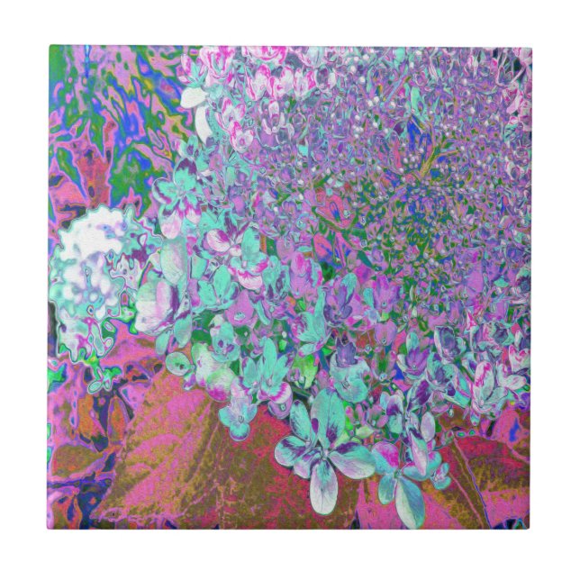 Elegantes Aqua und Lila Limelight Hydrangea Detail Fliese (Vorderseite)