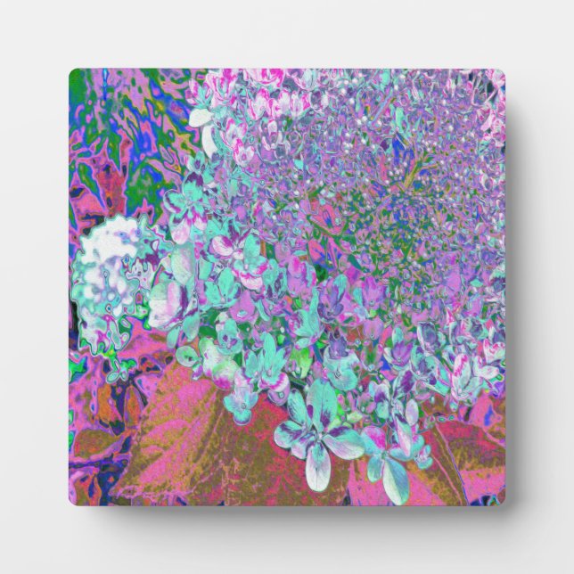 Elegantes Aqua und Lila Limelight Hydrangea Detail Fotoplatte (Vorderseite)