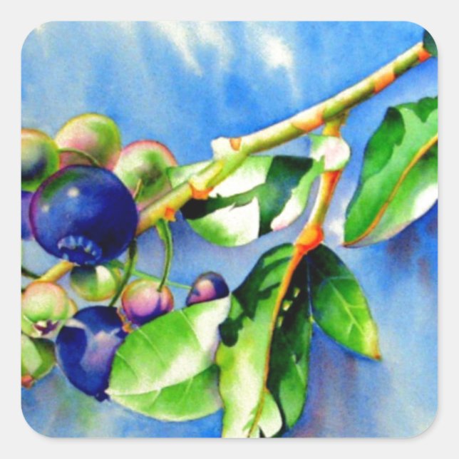 Elegantes Aquarell Blueberry-Malerei mit blauen Fr Quadratischer Aufkleber (Vorderseite)