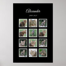 Elegantes Black Pet Poster mit 12 Foto Slots