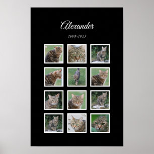 Elegantes Black Pet Poster mit 12 Foto Slots