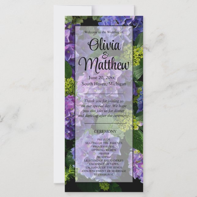 Elegantes blaues lila Magenta grünes Hydrangea (Vorderseite)