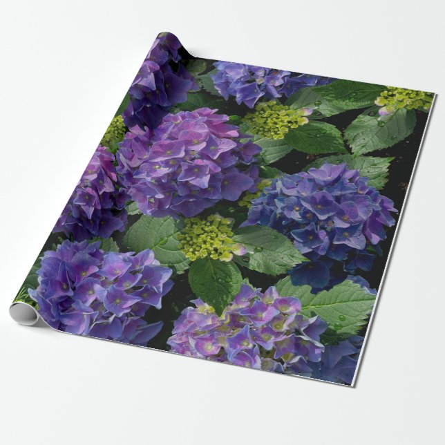 Elegantes blaues lila Magenta grünes Hydrangea Geschenkpapier (Ungerollt)