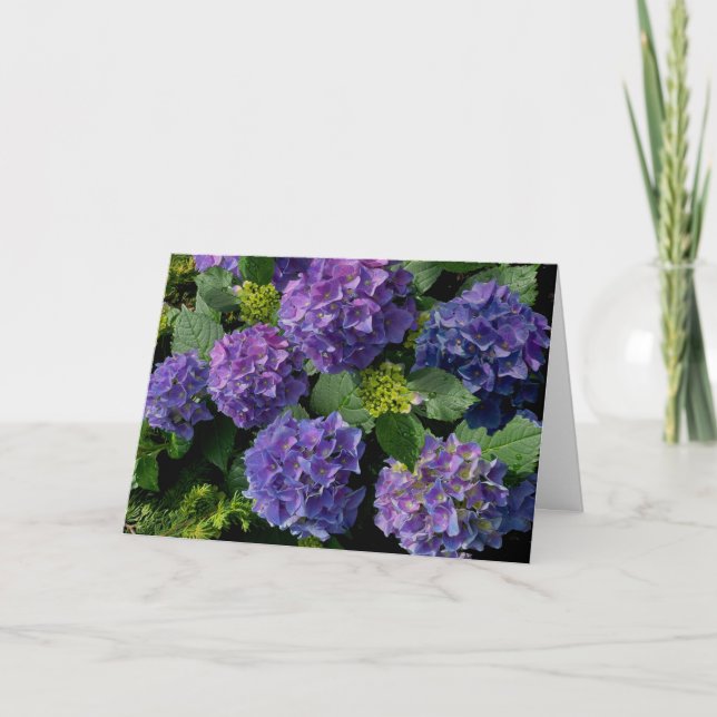 Elegantes blaues lila Magenta grünes Hydrangea Karte (Vorderseite)