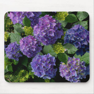 Elegantes blaues lila Magenta grünes Hydrangea Mousepad