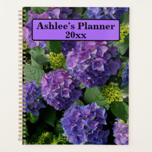 Elegantes blaues lila Magenta grünes Hydrangea Planer