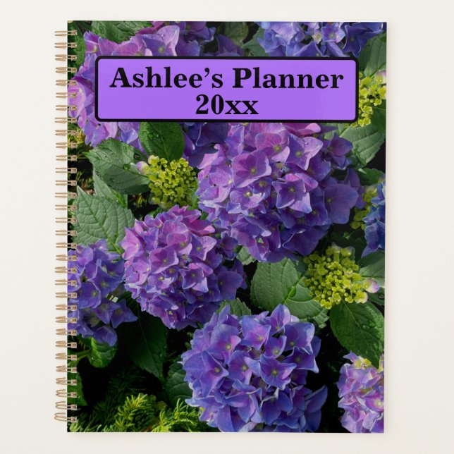 Elegantes blaues lila Magenta grünes Hydrangea Planer (Vorderseite)