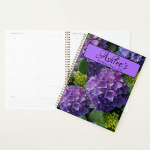 Elegantes blaues lila Magenta grünes Hydrangea Planer
