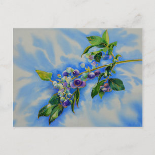 Elegantes Blueberry-Aquarellbild Postkarte