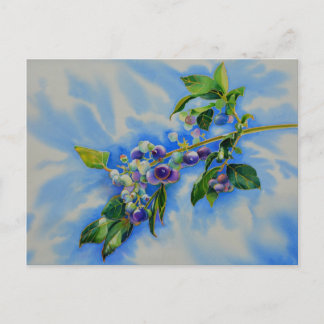 Elegantes Blueberry-Aquarellbild Postkarte