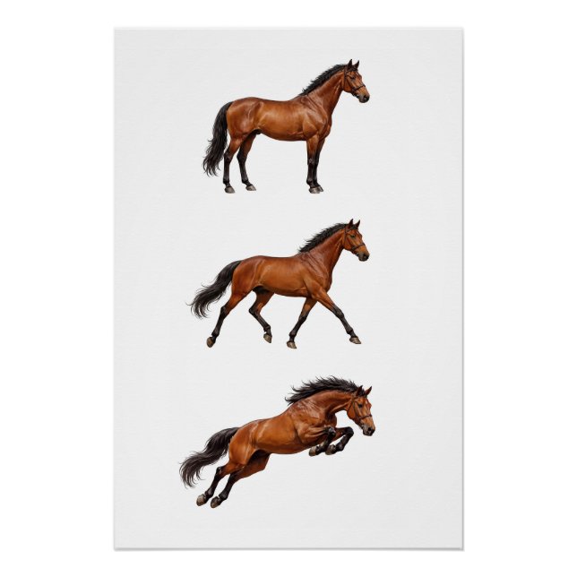 Elegantes Braunpferd Wandkunst Poster (Vorderseite)