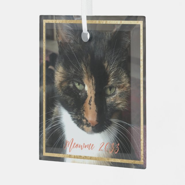 Elegantes Cat Foto Custom Gold Trim Glass Ornament (Vorderseite links)