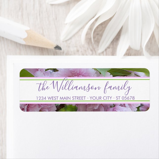 Elegantes Chic Pink Spring Cherry Blossom Tree Fot (Insitu)