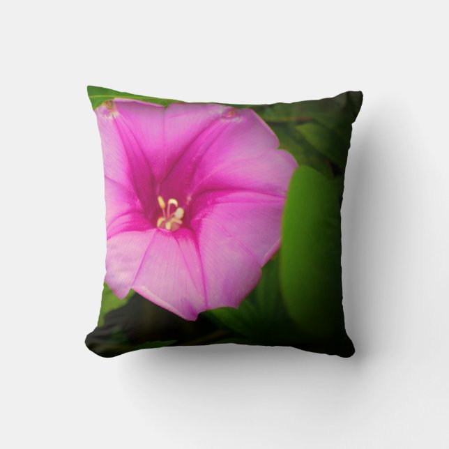 Elegantes Drehkissen - rosa Morgenherrlichkeit Kissen (Vorderseite)