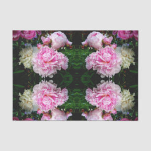 Elegantes Foto aus rosa, blühenden Pinien Seidenpapier