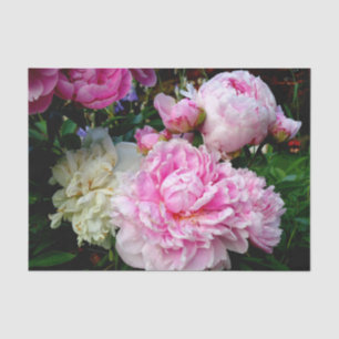 Elegantes Foto aus rosa, blühenden Pinien Seidenpapier