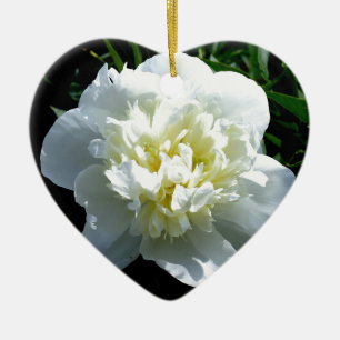 Elegantes Foto aus weißer Blume mit Blumen Keramik Ornament