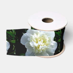 Elegantes Foto aus weißer Blume mit Blumen Ripsband