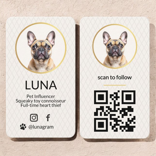 Elegantes Foto Gold Dog Pet Social Media QR Code Visitenkarte (Von Creator hochgeladen)