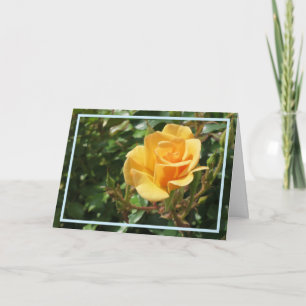 Elegantes Foto mit gelber Rose Blume Karte