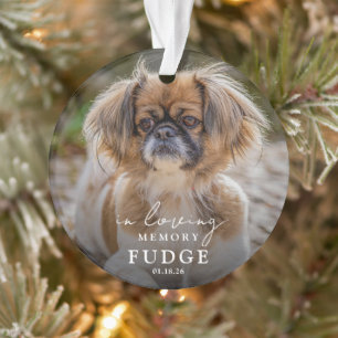 Elegantes Gedenkfoto-Hunde-Memorial-Foto Ornament