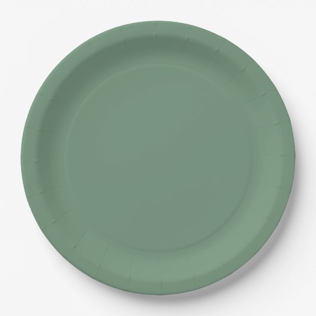 Elegantes Green Winter Paper Plate Pappteller (Vorderseite)