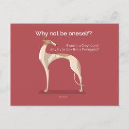 Elegantes Greyhound inspirierendes Zitat Postkarte