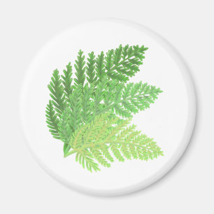 Elegantes grünes Aquarellenfarn-Waldland-Blätter Magnet
