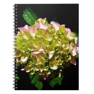 Elegantes, grünes, rosa grünes, blumengrünes Hydra Notizblock