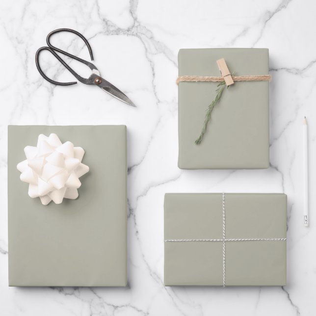 Elegantes, hellgraugrünes Minimalistisch und elega Geschenkpapier Set (Vorderseite)