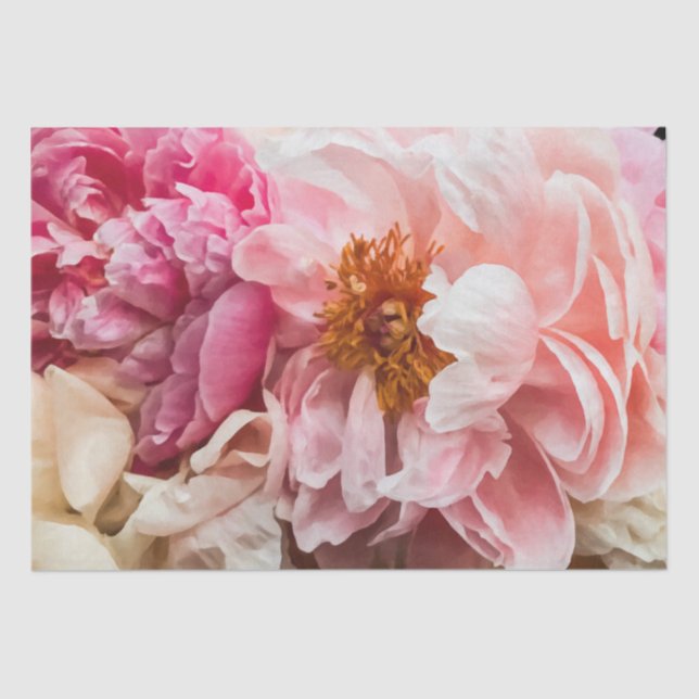 Elegantes Hot Pink & Cream Peonies Tissue Seidenpapier (Vorderseite)