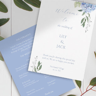 Elegantes Hydrangea-Programm für Weiß und Blauer F Programm