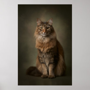 Elegantes Katzenstudioporträt Poster