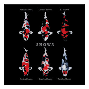 Elegantes Koi Fish Poster - Zeitloser und künstler