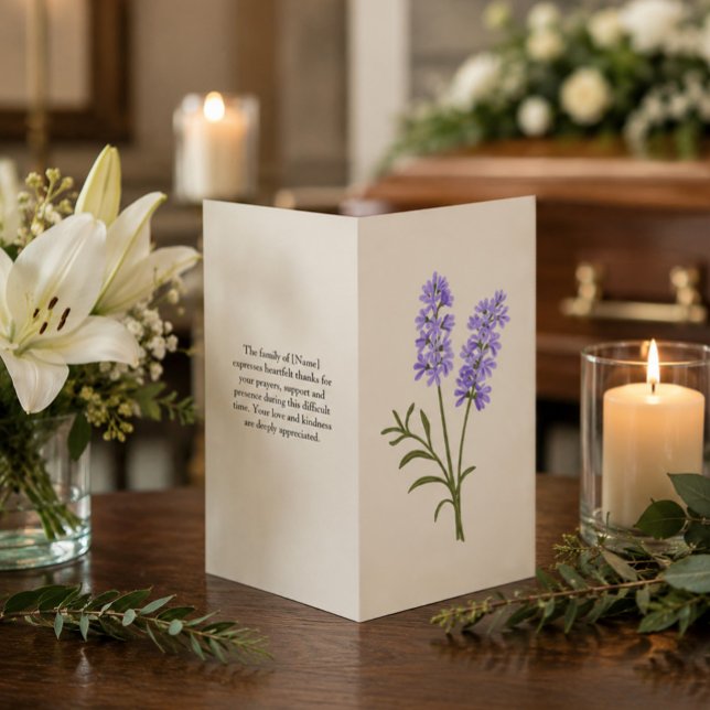 Elegantes Lavenderbeerprogramm (Von Creator hochgeladen)