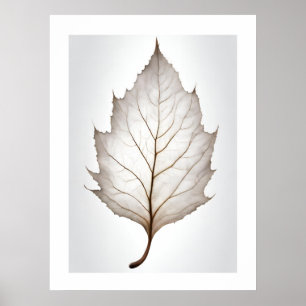 Elegantes Leaf Natures Vein Artprint Poster