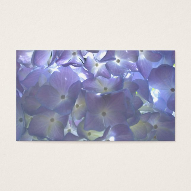 Elegantes, lila, blumengeschmücktes lila Hydrangea (Vorderseite)