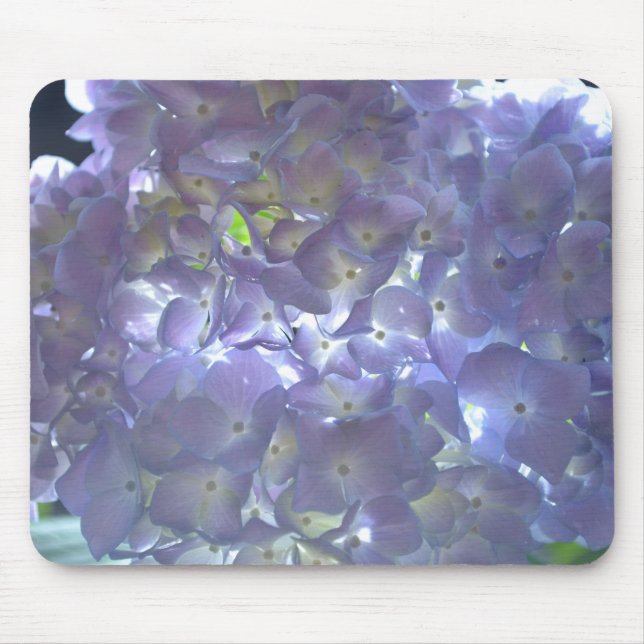 Elegantes, lila, blumengeschmücktes lila Hydrangea Mousepad (Vorne)