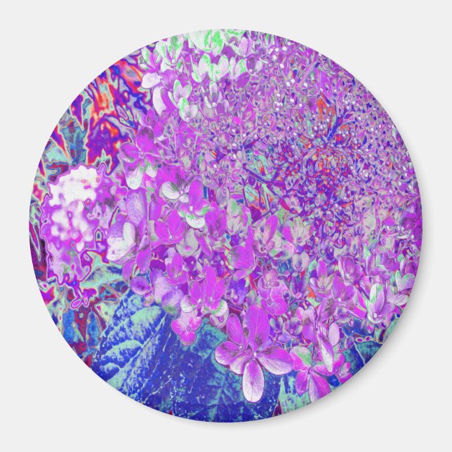 Elegantes Lila und blaues Limelight Hydrangea Magnet (Vorne)